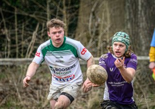 _nz81135-avec_accentuation-bruit.jpg - JPEG - 191.6 ko - 1024×720 px