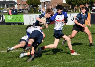 dsc_1199-3.jpg - JPEG - 379.8 ko - 1500×1059 px