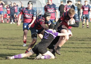 gp5f7957.jpg - JPEG - 509.8 ko - 2000×1408 px