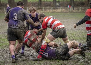 04022024-_nz87993-avec_accentuation-bruit.jpg - JPEG - 820.7 ko - 1024×727 px