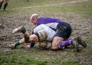 _nz81053-avec_accentuation-bruit.jpg - JPEG - 305.2 ko - 1024×729 px