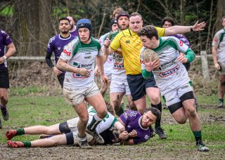 _nz81277-avec_accentuation-bruit.jpg - JPEG - 310.4 ko - 1024×729 px