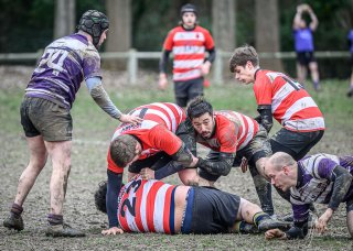 z63_6637.jpg - JPEG - 273 ko - 1024×728 px