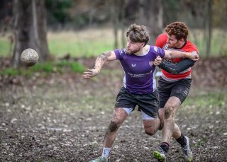 _nz87892.jpg - JPEG - 219.9 ko - 1024×730 px