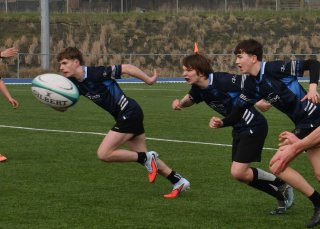 dsc_0777-5.jpg - JPEG - 284.1 ko - 1500×1069 px