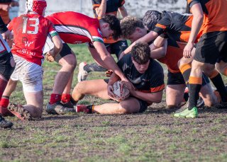 dsc_1202-4.jpg - JPEG - 425.8 ko - 1500×1070 px