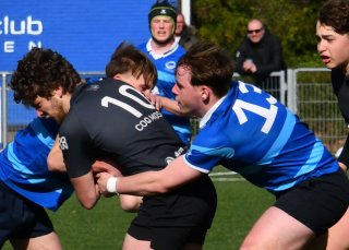 dsc_1425-5.jpg - JPEG - 322.2 ko - 2000×1427 px