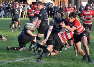 dsc_4169-2.jpg - JPEG - 560.4 ko - 2000×1325 px