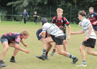 gp5f2250.jpg - JPEG - 462.9 ko - 2000×1427 px