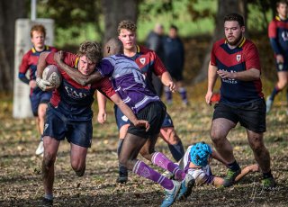 _nz86799.jpg - JPEG - 249.4 ko - 1024×735 px