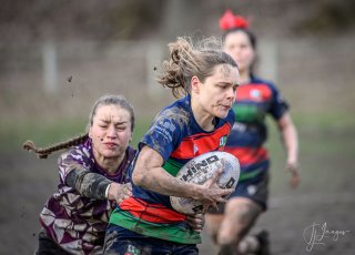 _nz88825.jpg - JPEG - 144.5 ko - 1024×734 px