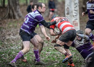 z63_6672.jpg - JPEG - 261.6 ko - 1024×736 px