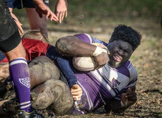 _nz86894.jpg - JPEG - 256.4 ko - 1024×740 px