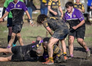 _nz88058.jpg - JPEG - 246.7 ko - 1024×741 px