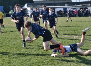 dsc_1185-3.jpg - JPEG - 462.9 ko - 1500×1087 px