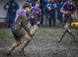 _nz87485.jpg - JPEG - 219.9 ko - 1024×745 px