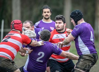 _nz87694.jpg - JPEG - 221.3 ko - 1024×743 px