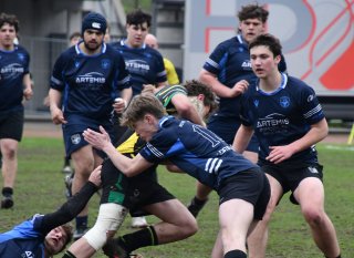 dsc_1894.jpg - JPEG - 240.8 ko - 1500×1091 px