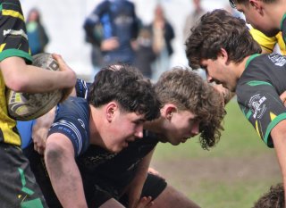 dsc_2056-2.jpg - JPEG - 220 ko - 1500×1091 px