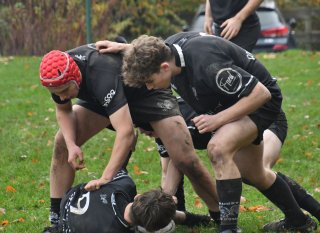 dsc_4397-3.jpg - JPEG - 397.2 ko - 2000×1452 px