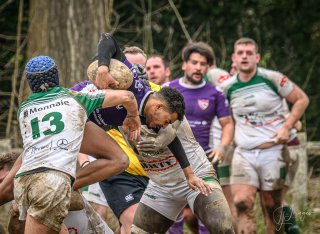 _nz81267-avec_accentuation-bruit.jpg - JPEG - 231.7 ko - 1024×747 px