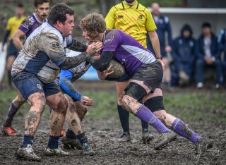 _nz87363-2.jpg - JPEG - 246.1 ko - 1024×747 px