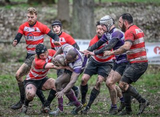 _nz87596.jpg - JPEG - 285 ko - 1024×746 px