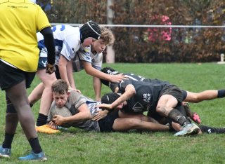 dsc_4244-3.jpg - JPEG - 457.8 ko - 2000×1460 px