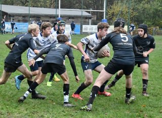 dsc_4249-2.jpg - JPEG - 574.8 ko - 2000×1460 px