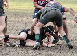 gp5f7272.jpg - JPEG - 568.8 ko - 2000×1457 px