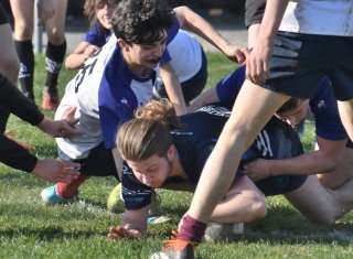 dsc_1217-3.jpg - JPEG - 262 ko - 1500×1097 px