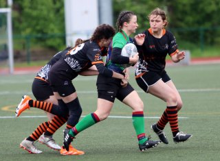 img_8440-3.jpg - JPEG - 376.5 ko - 2000×1463 px