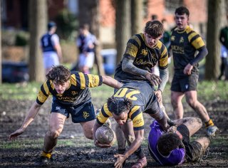 _nz88075.jpg - JPEG - 241.8 ko - 1024×753 px