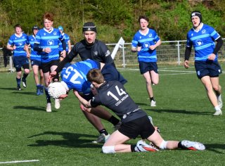 dsc_1495-3.jpg - JPEG - 538.8 ko - 2000×1470 px