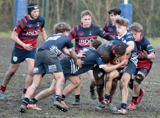 gp5f0756.jpg - JPEG - 546.8 ko - 2000×1471 px