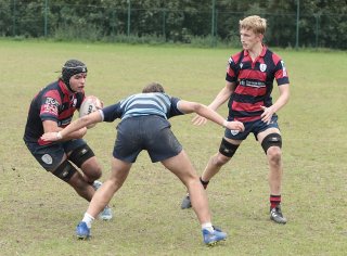 gp5f2825.jpg - JPEG - 516 ko - 2000×1471 px