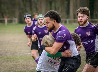 _nz80867-avec_accentuation-bruit.jpg - JPEG - 176.7 ko - 1024×758 px