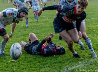 dsc08687.jpg - JPEG - 723.3 ko - 2000×1476 px