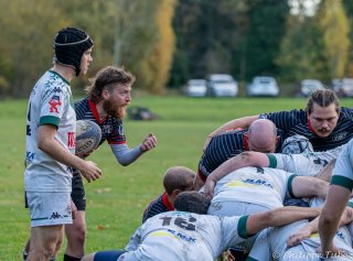 dsc08689.jpg - JPEG - 503.7 ko - 2000×1476 px