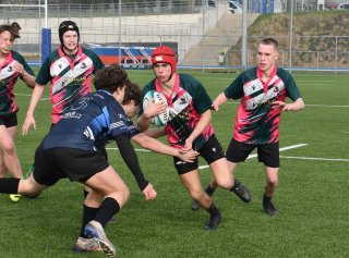 dsc_0868-4.jpg - JPEG - 398.9 ko - 1500×1109 px