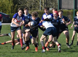 dsc_1126-2.jpg - JPEG - 350.8 ko - 1500×1108 px