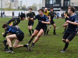 dsc_1925-5.jpg - JPEG - 353.8 ko - 1500×1109 px