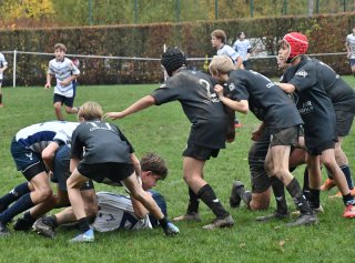 dsc_4242-2.jpg - JPEG - 531.1 ko - 2000×1480 px