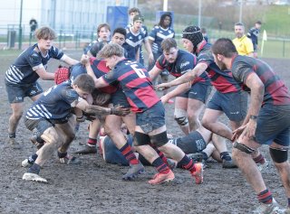 gp5f0677.jpg - JPEG - 598.5 ko - 2000×1481 px