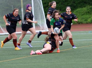 img_8460.jpg - JPEG - 468 ko - 2000×1481 px