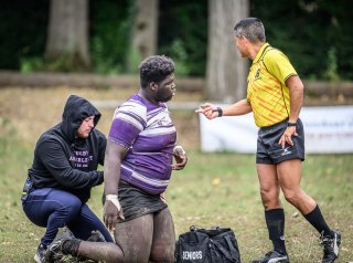 _nz85589.jpg - JPEG - 212.4 ko - 1024×760 px