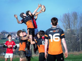 dsc_1330-3.jpg - JPEG - 262.4 ko - 1500×1112 px