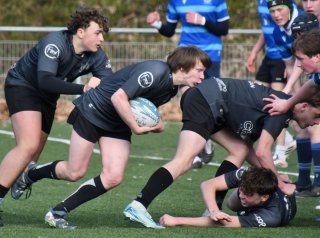 dsc_1486-2.jpg - JPEG - 377.7 ko - 2000×1483 px