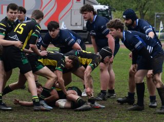 dsc_1895-3.jpg - JPEG - 305.9 ko - 1500×1114 px