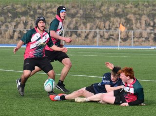 dsc_0879-2.jpg - JPEG - 298.5 ko - 1500×1118 px